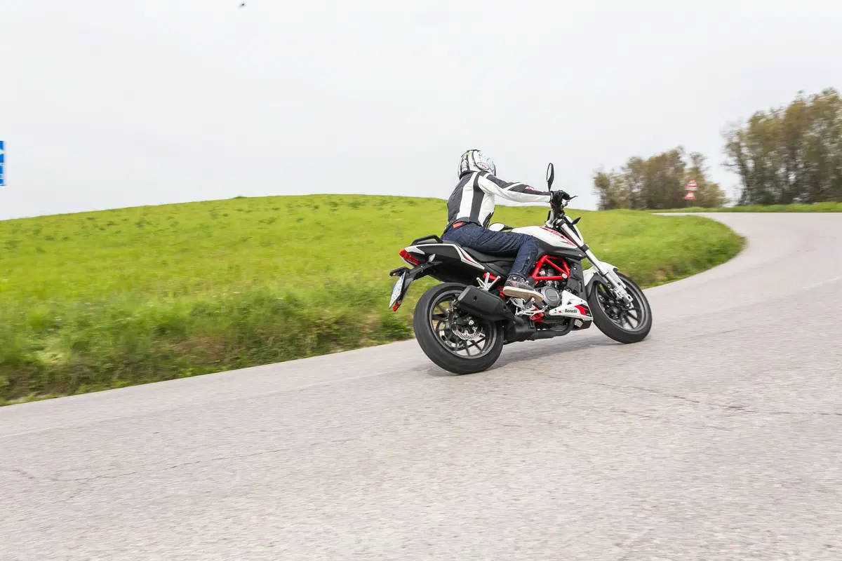 Benelli BN251 (22)