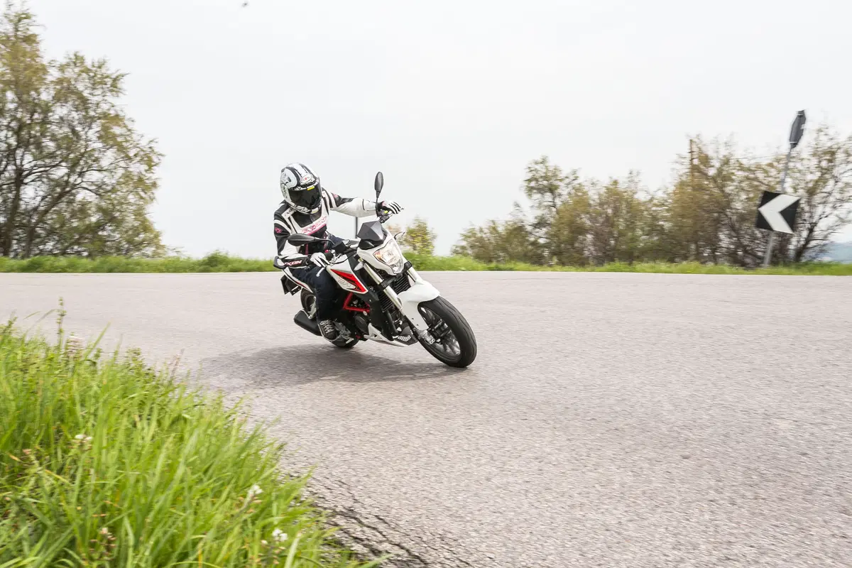 Benelli BN251 (23)