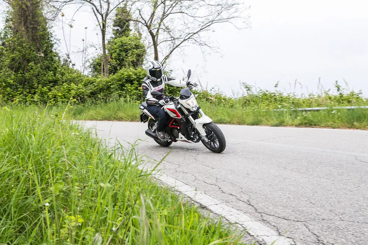Benelli BN251 (27)