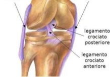 In moto in salute: la lesione del legamento crociato anteriore