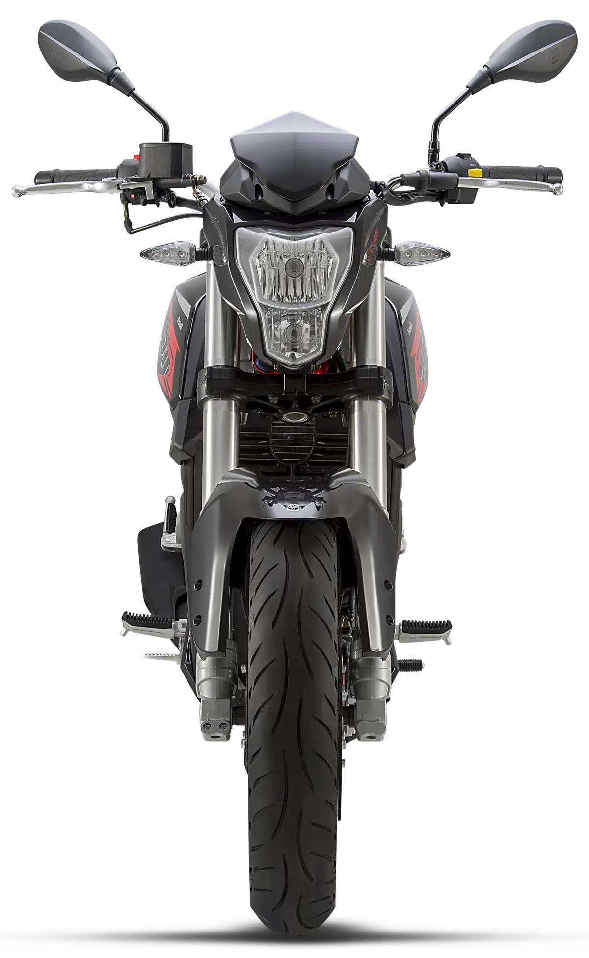 Benelli BN251 (34)