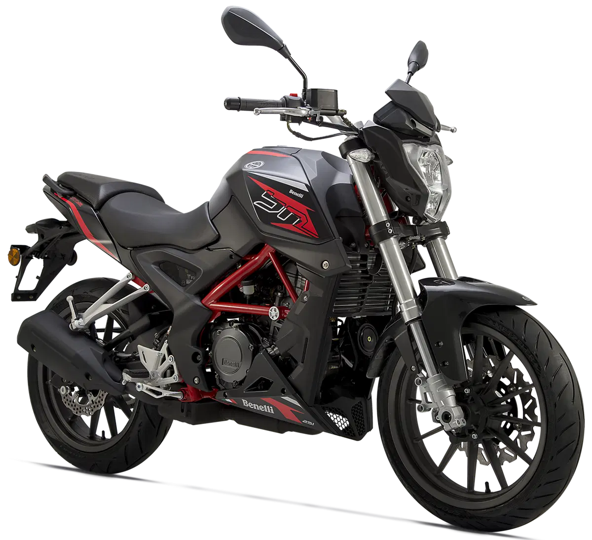Benelli BN251 (35)