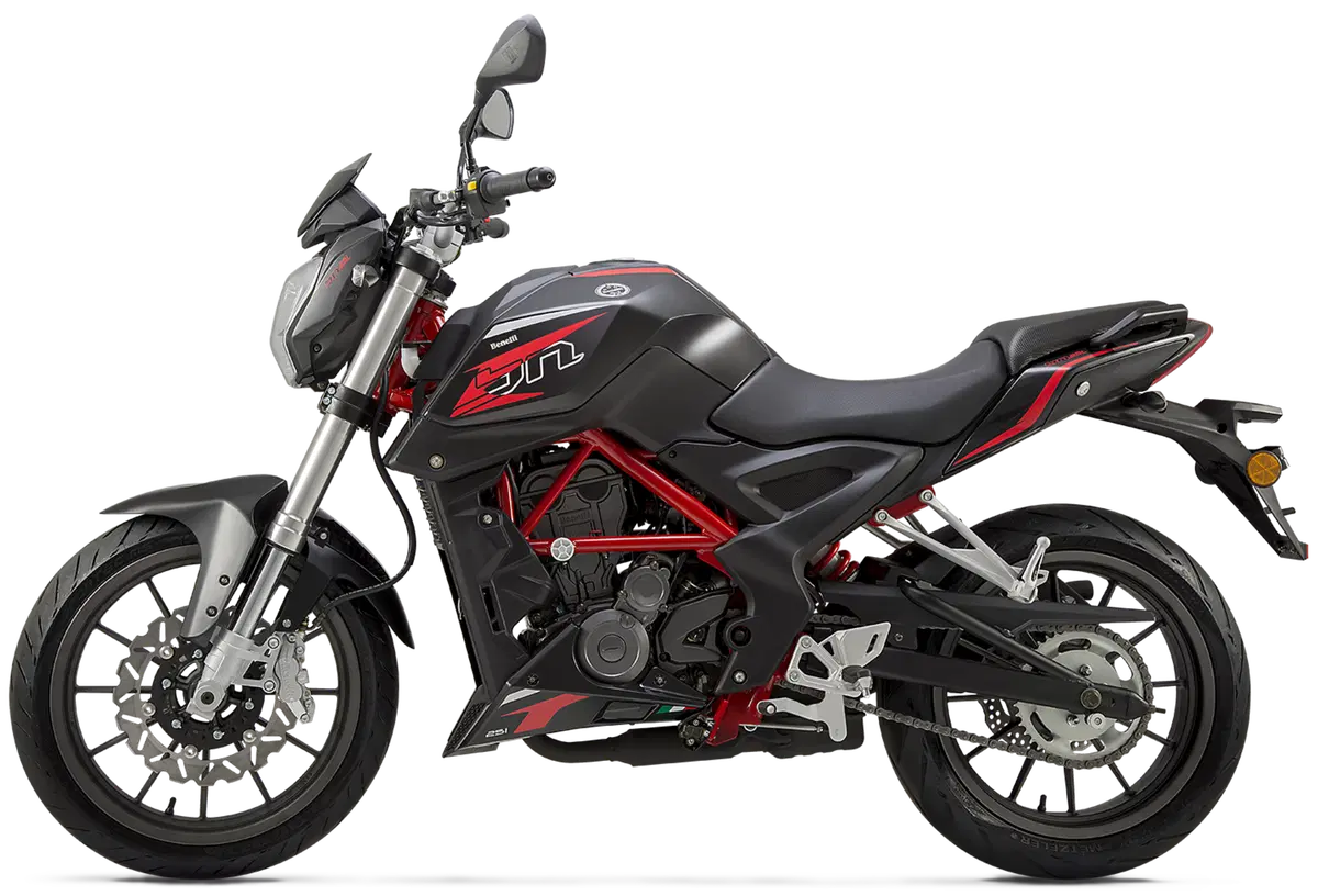 Benelli BN251 (37)