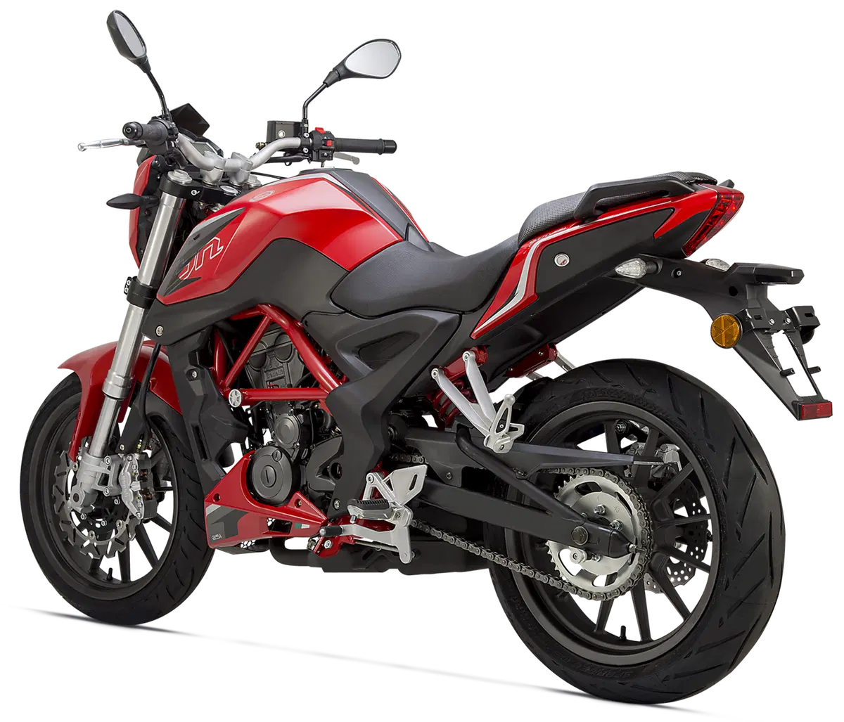 Benelli BN251 (41)