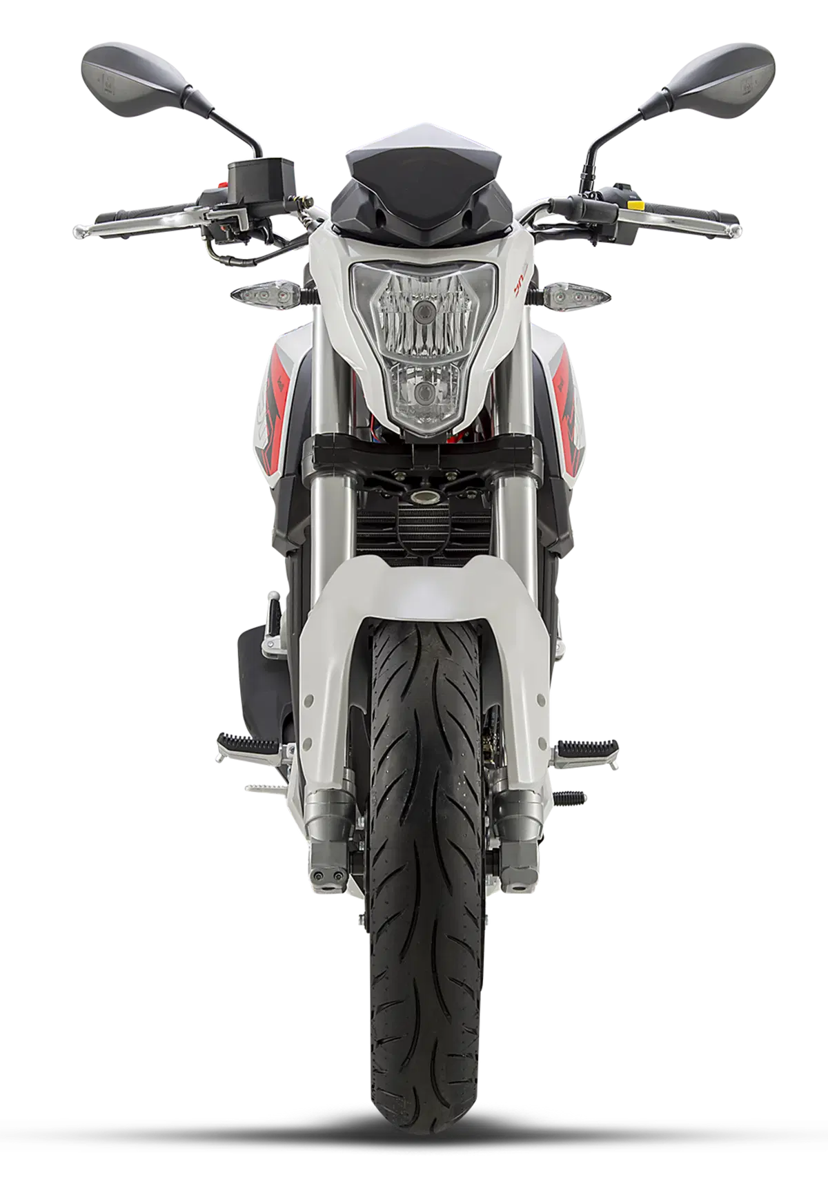Benelli BN251 (46)