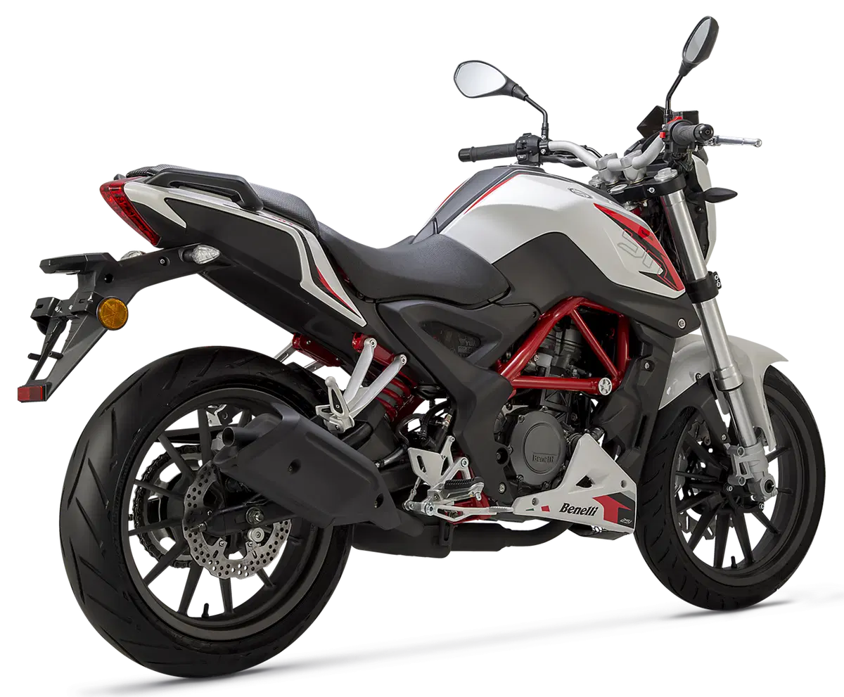 Benelli BN251 (47)