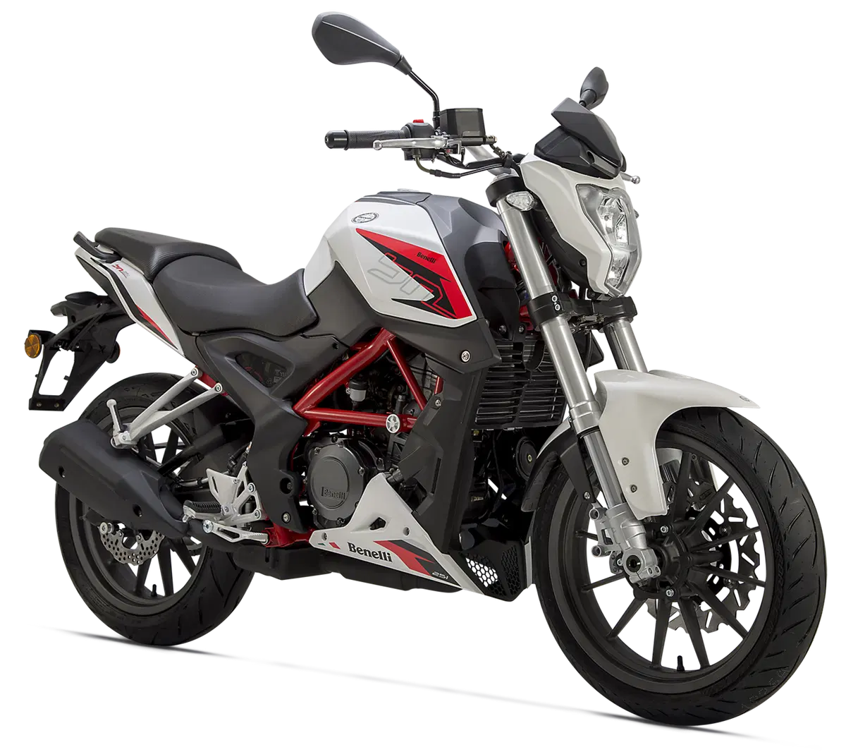 Benelli BN251 (49)