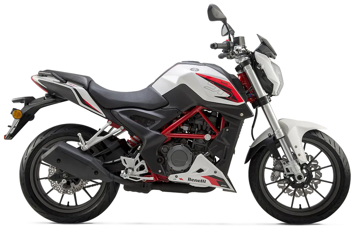 Benelli BN251 (53)