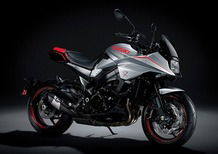 Suzuki Katana 1000 Jindachi (2019 - 20)