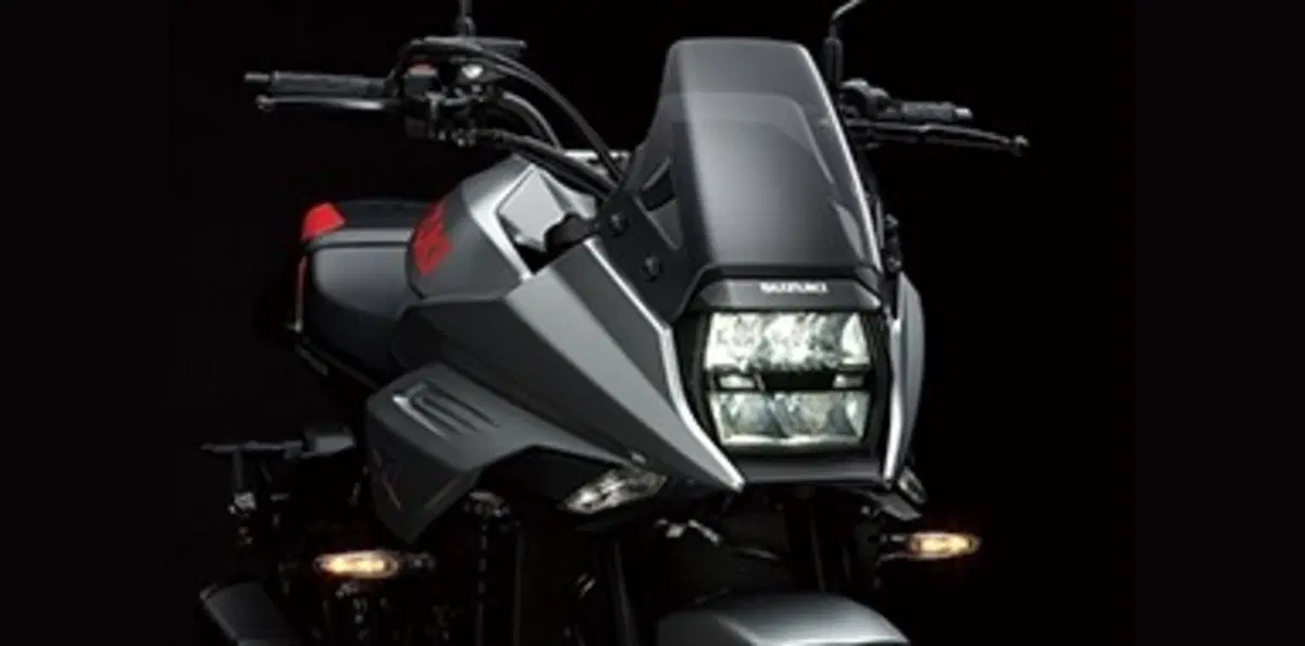 Suzuki Katana 1000 Katana 1000 Jindachi (2019 - 20) (2)
