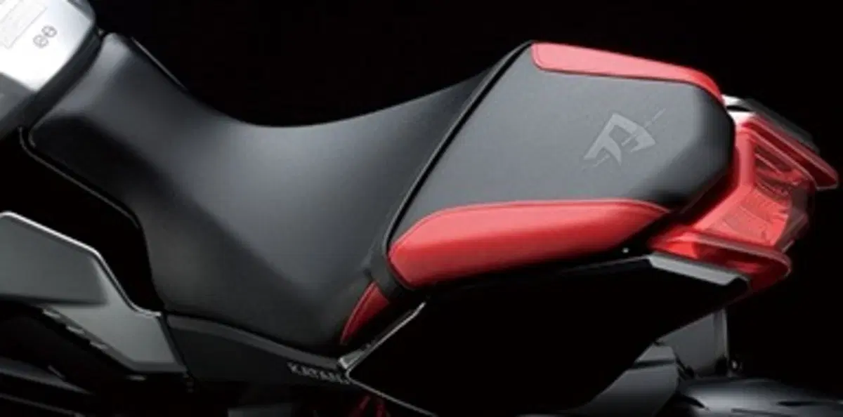 Suzuki Katana 1000 Katana 1000 Jindachi (2019 - 20) (3)