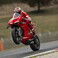 Panigalex