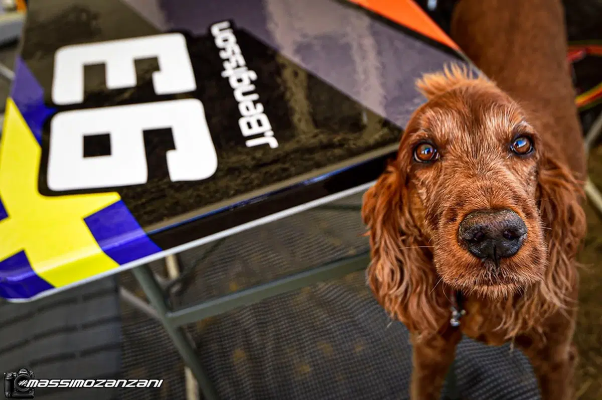 Gallery MX 2019. Il GP di Germania (44)