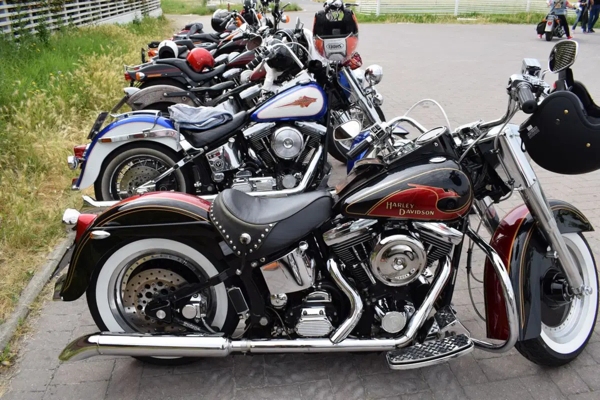Karburatore, ecco com'è andata l'edizione 2019 (127)