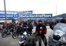 Elefantentreffen 2009