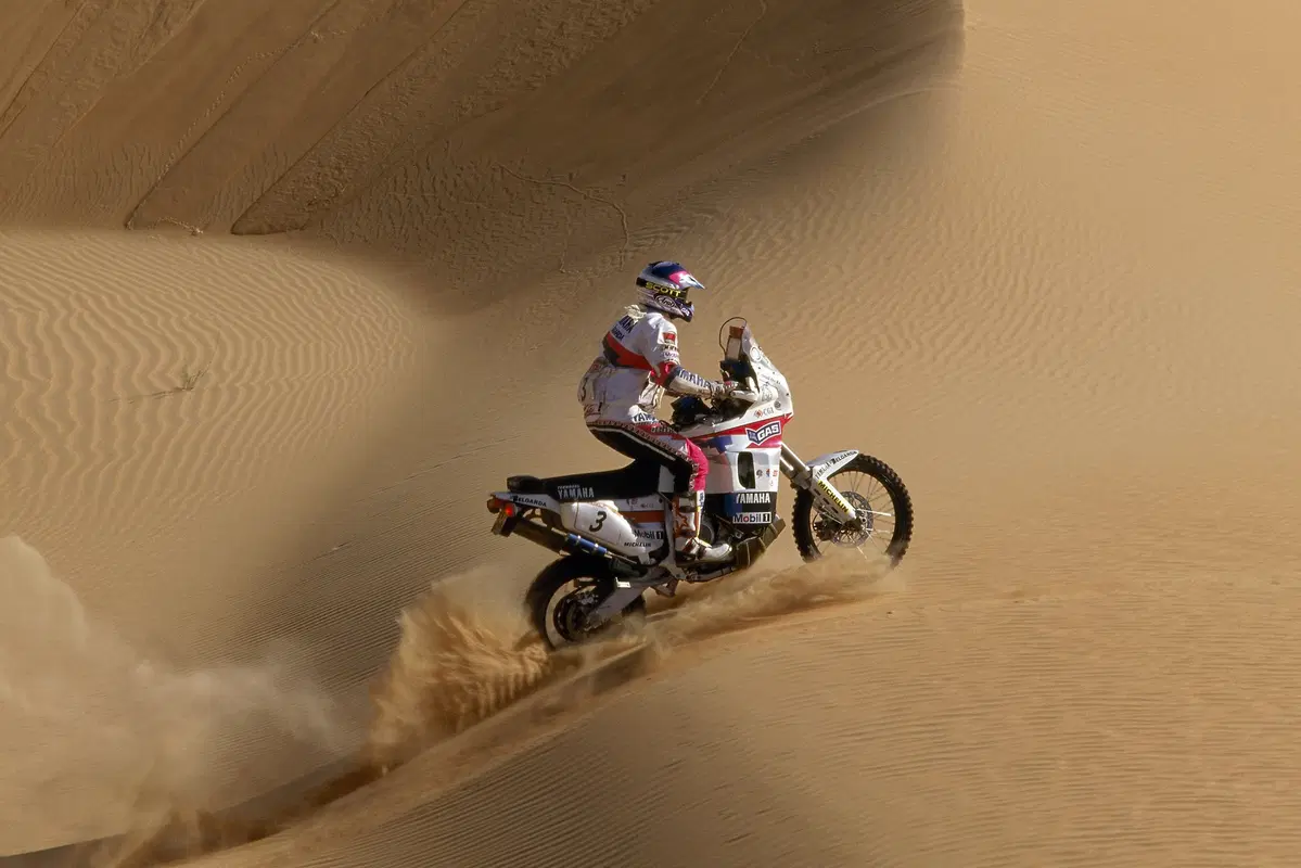 Dainese Dunes (7)