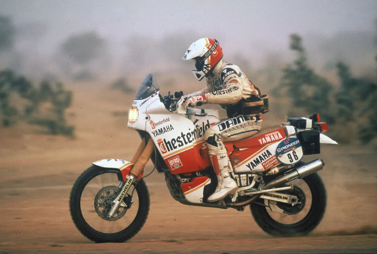 Dainese Dunes (42)