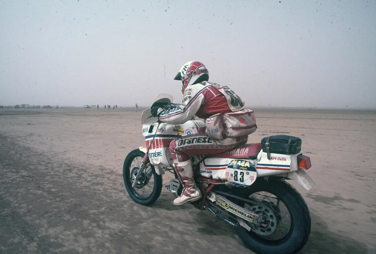 Dainese Dunes (43)