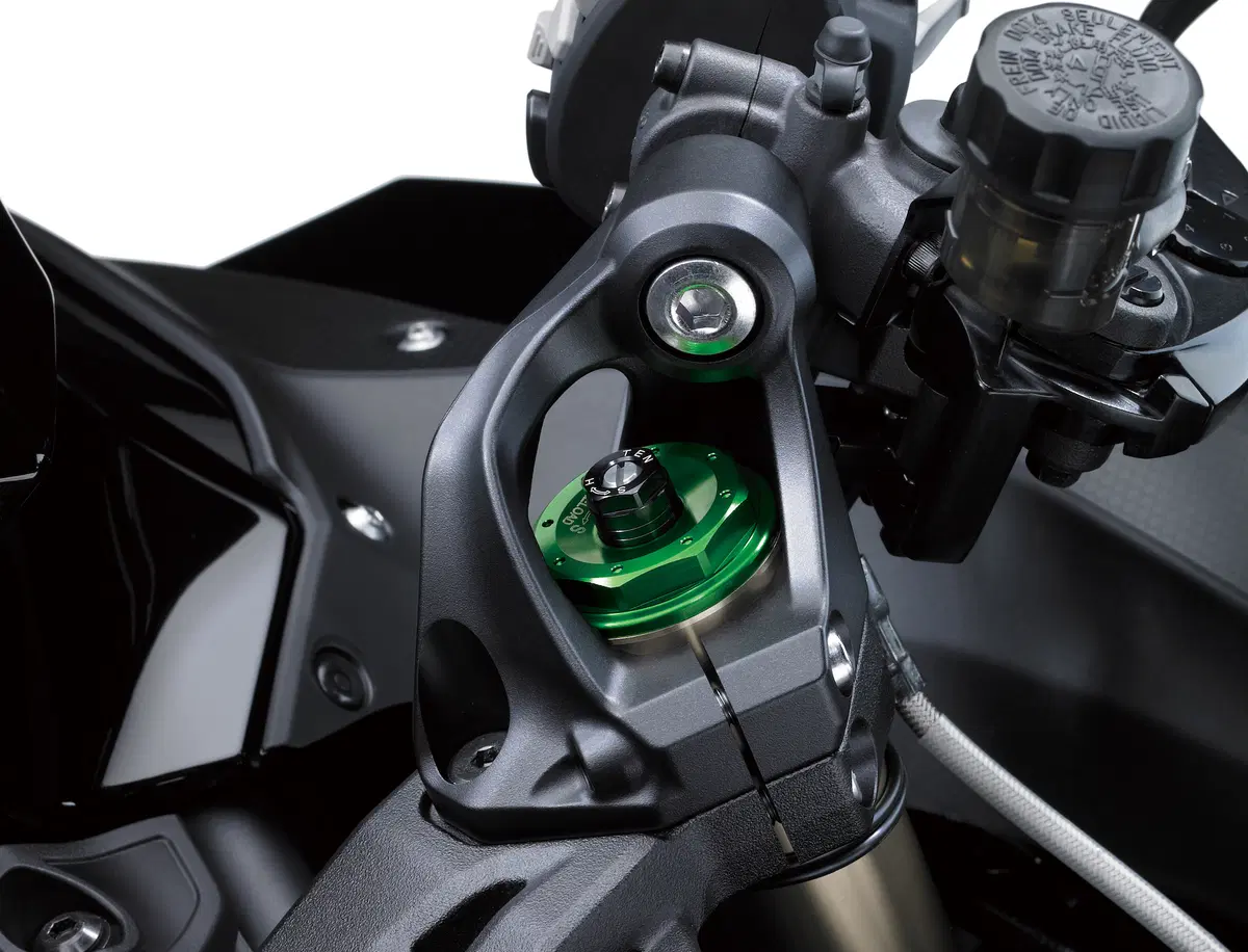 EICMA 2017: Kawasaki Ninja H2 SX ed SX SE, foto, dati e prezzi (16)