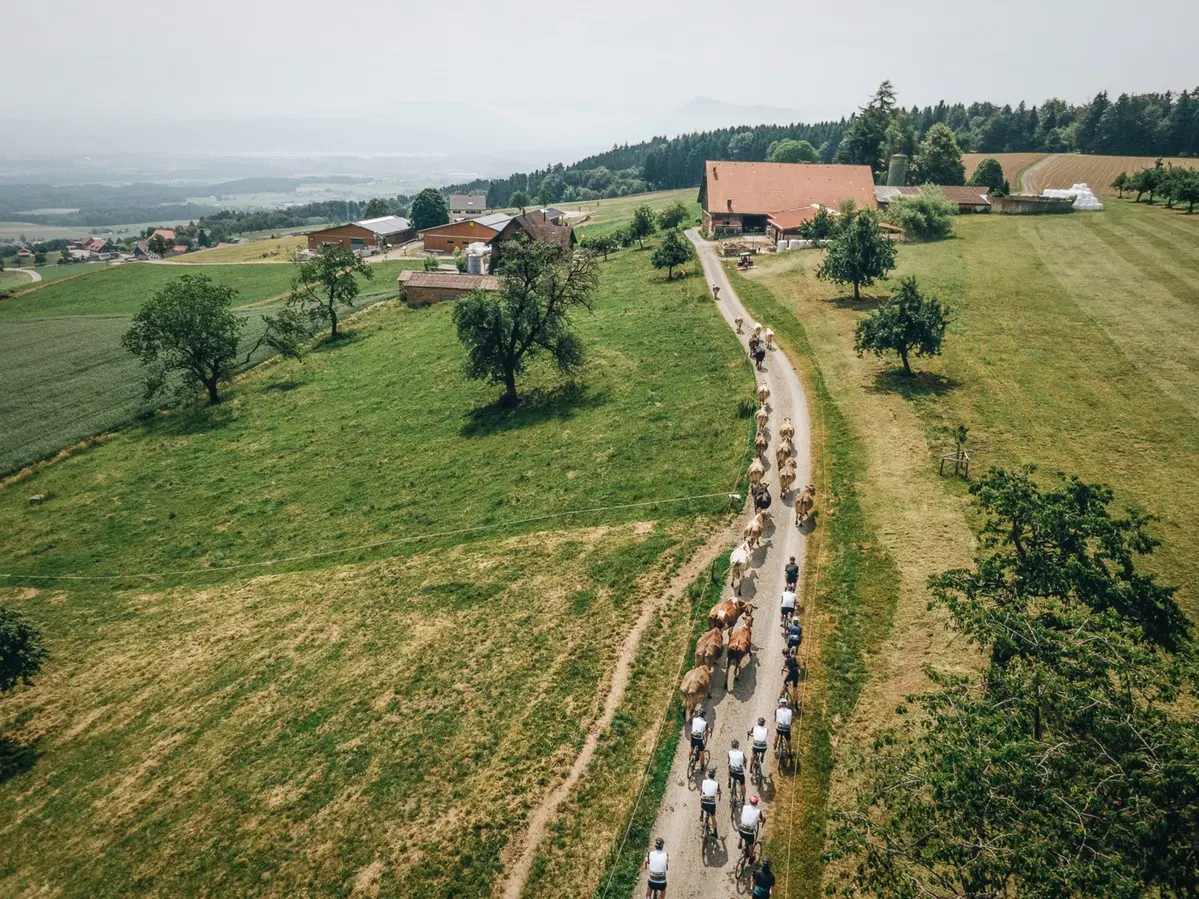 Test - Specialized Turbo Creo. Il futuro delle eBike è in strada (8)