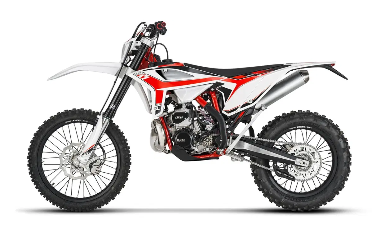 Betamotor RR 250 2T RR 250 2T Enduro (2020) (4)
