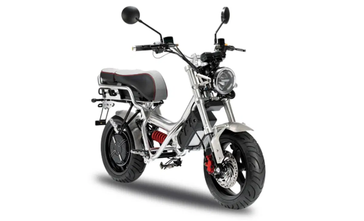 Garelli Ciclone Elettrico Metal (2020 - 25)