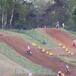 Motocross d'Epoca al Ciglione della Malpensa