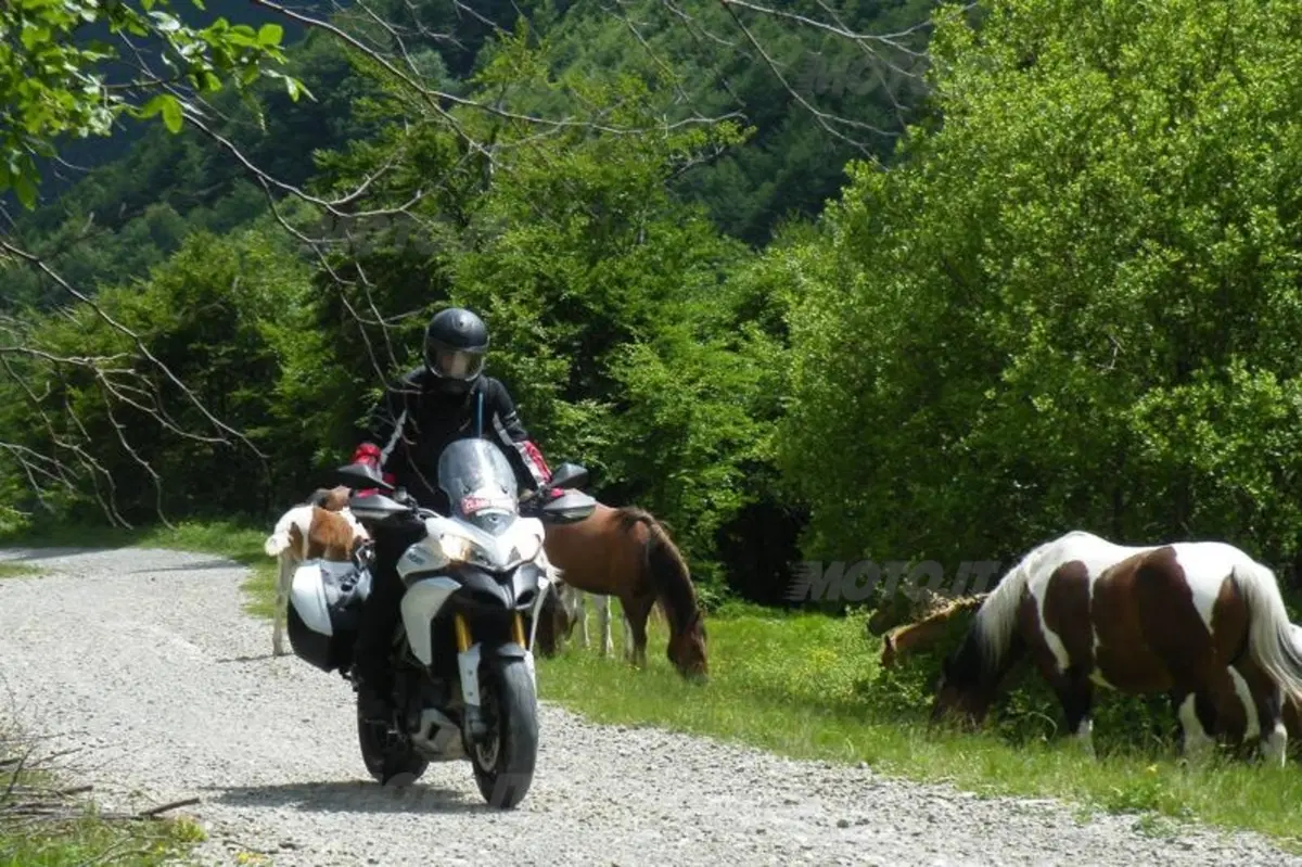 Al via 20.000 Pieghe edizione 2011   (5)