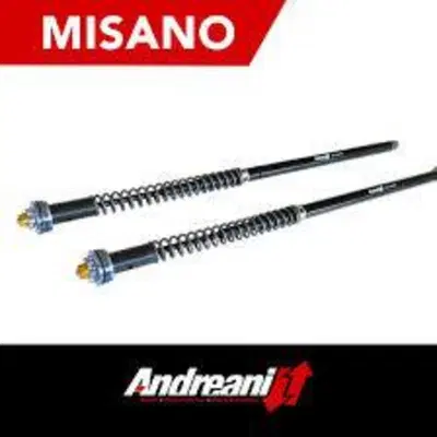 catuccia misano evo Andreani Group