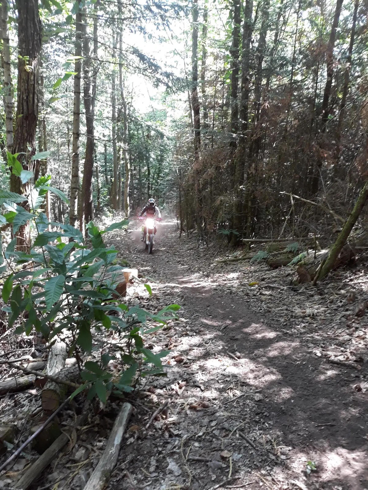 Endurose 2019: tassello (solo) in rosa (29)