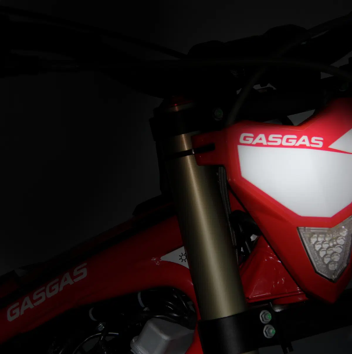 GASGAS TXT 250 TXT 250 Racing (2019 - 20) (7)