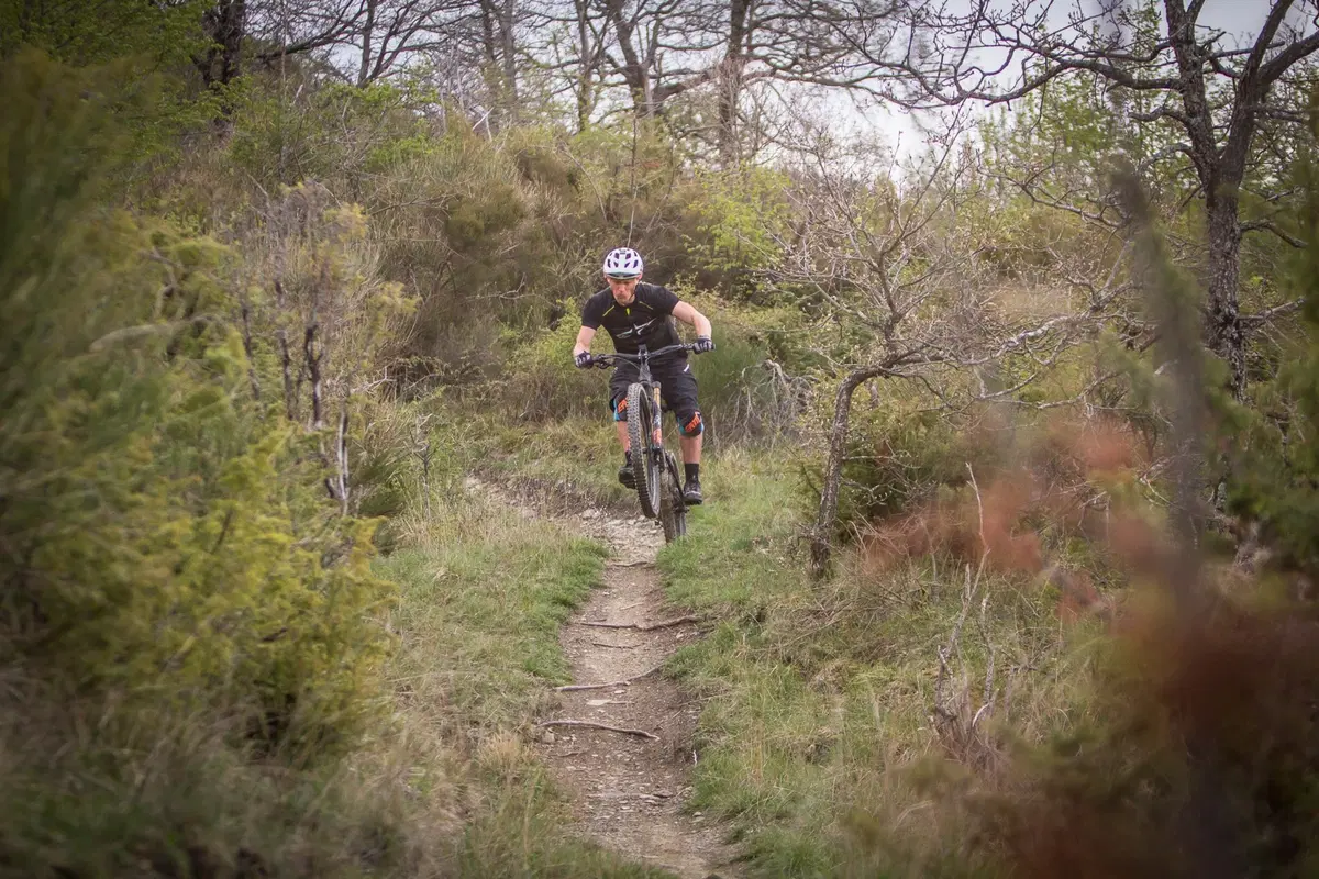 Nicolai eBike su misura (5)