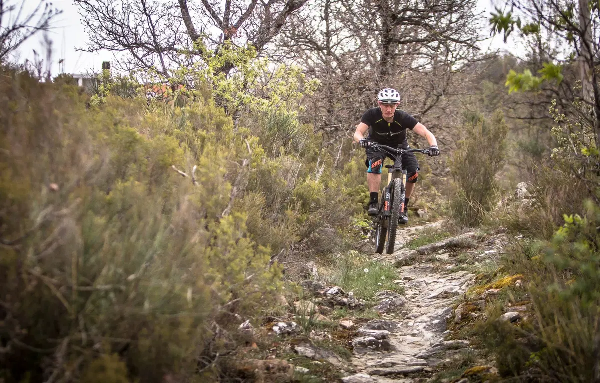 Nicolai eBike su misura (4)