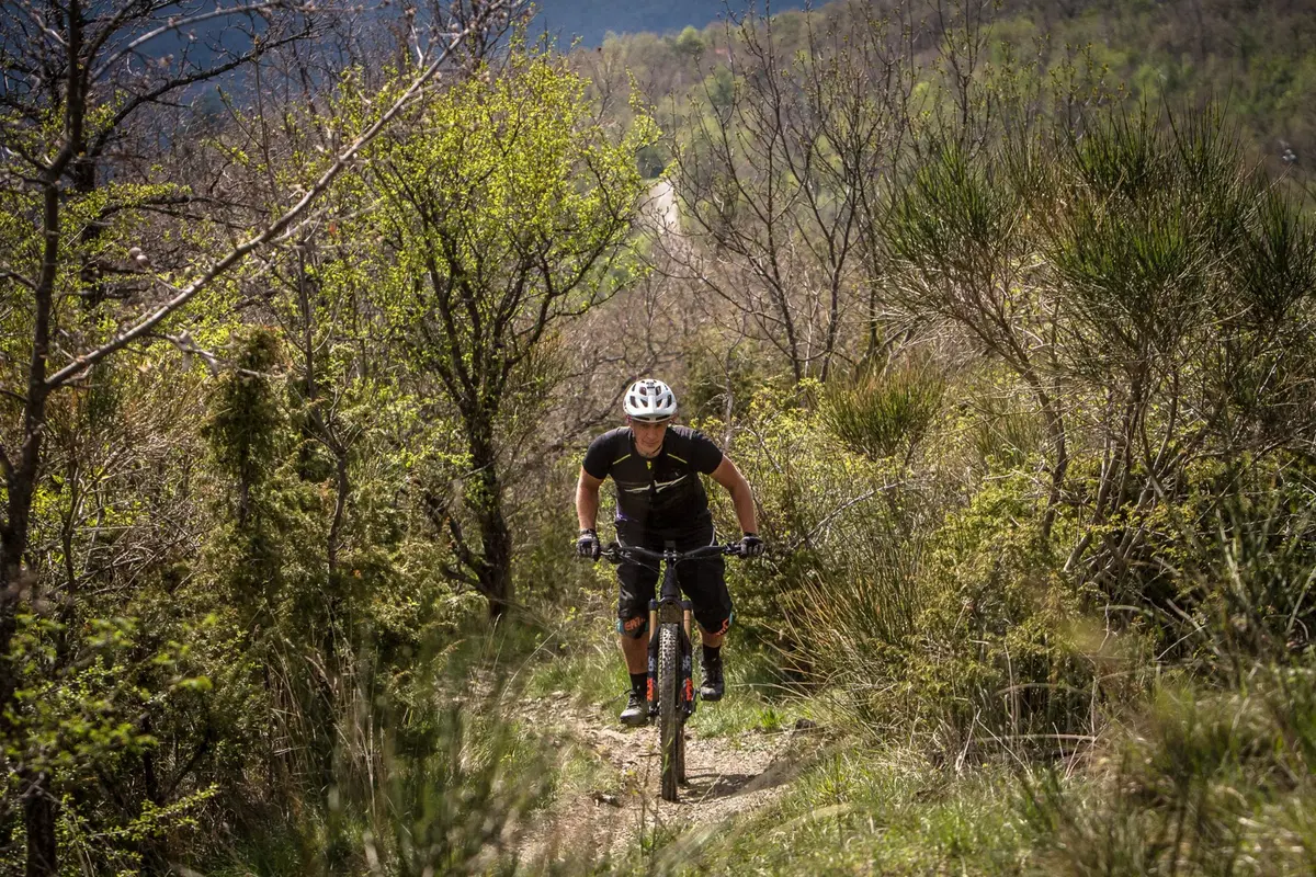Nicolai eBike su misura (6)