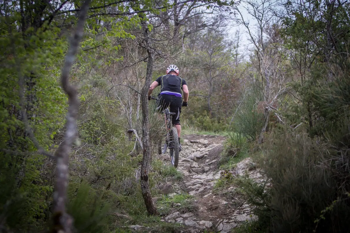 Nicolai eBike su misura (15)