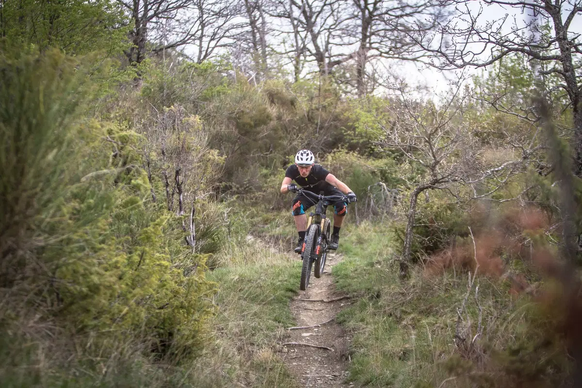 Nicolai eBike su misura (13)