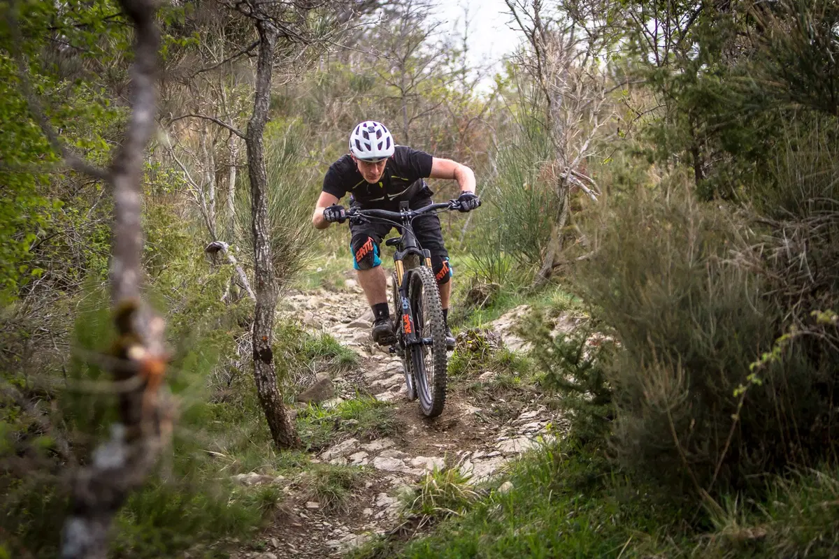 Nicolai eBike su misura (10)