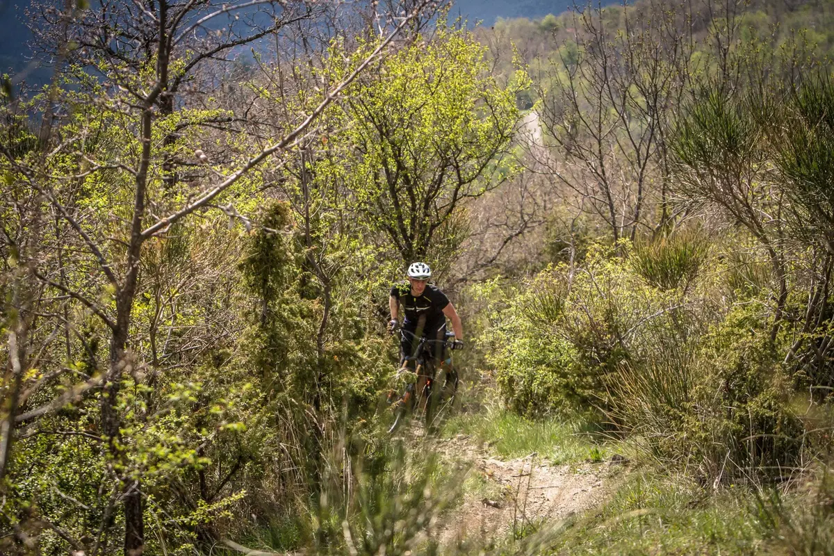 Nicolai eBike su misura (17)