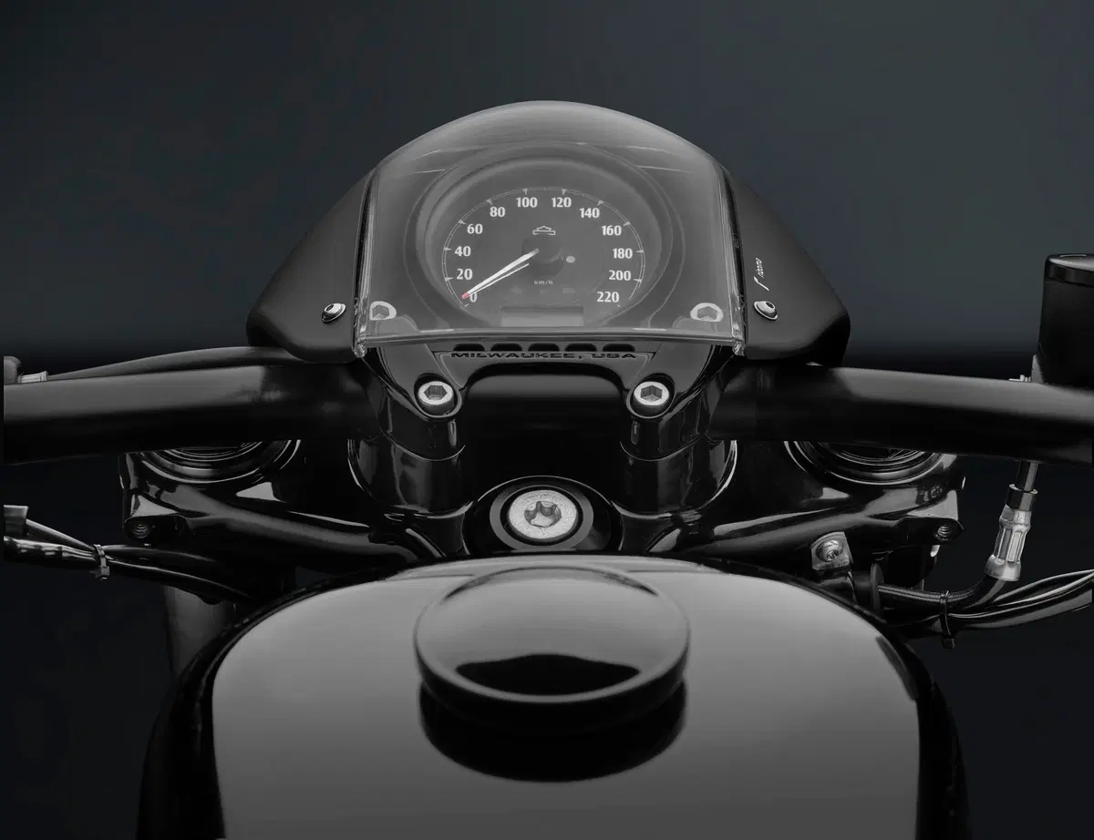 Rizoma per l'Harley-Davidson XL1200X Sportster Forty-Eight (3)