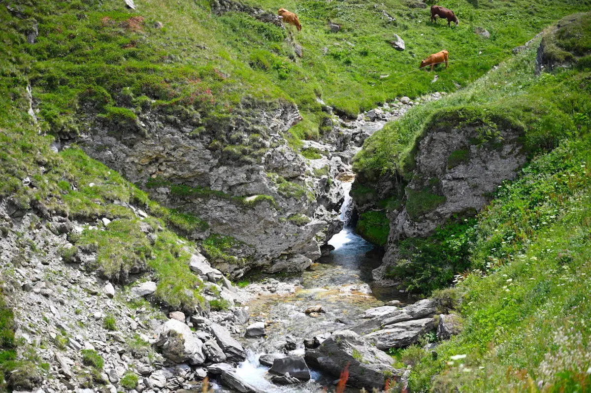 Moncenisio, la prima porta delle Alpi (18)
