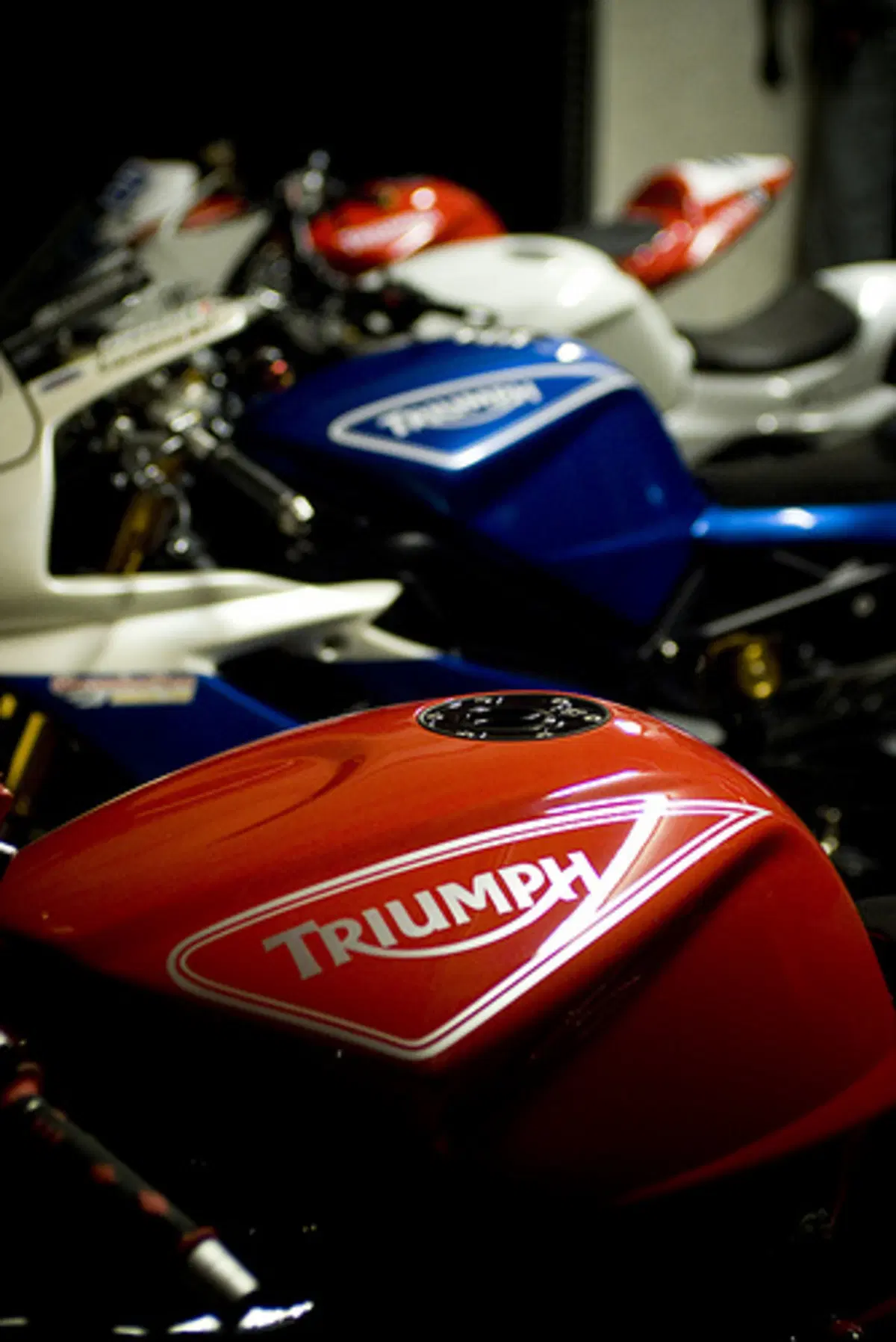 Triumph Day 2011. Le foto e il racconto del raduno (28)