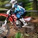 Beta Enduro RR 4T   