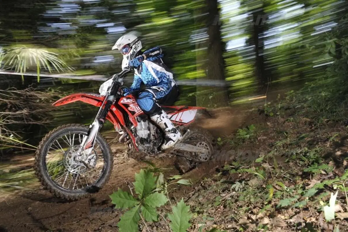 Beta Enduro RR 4T    (2)