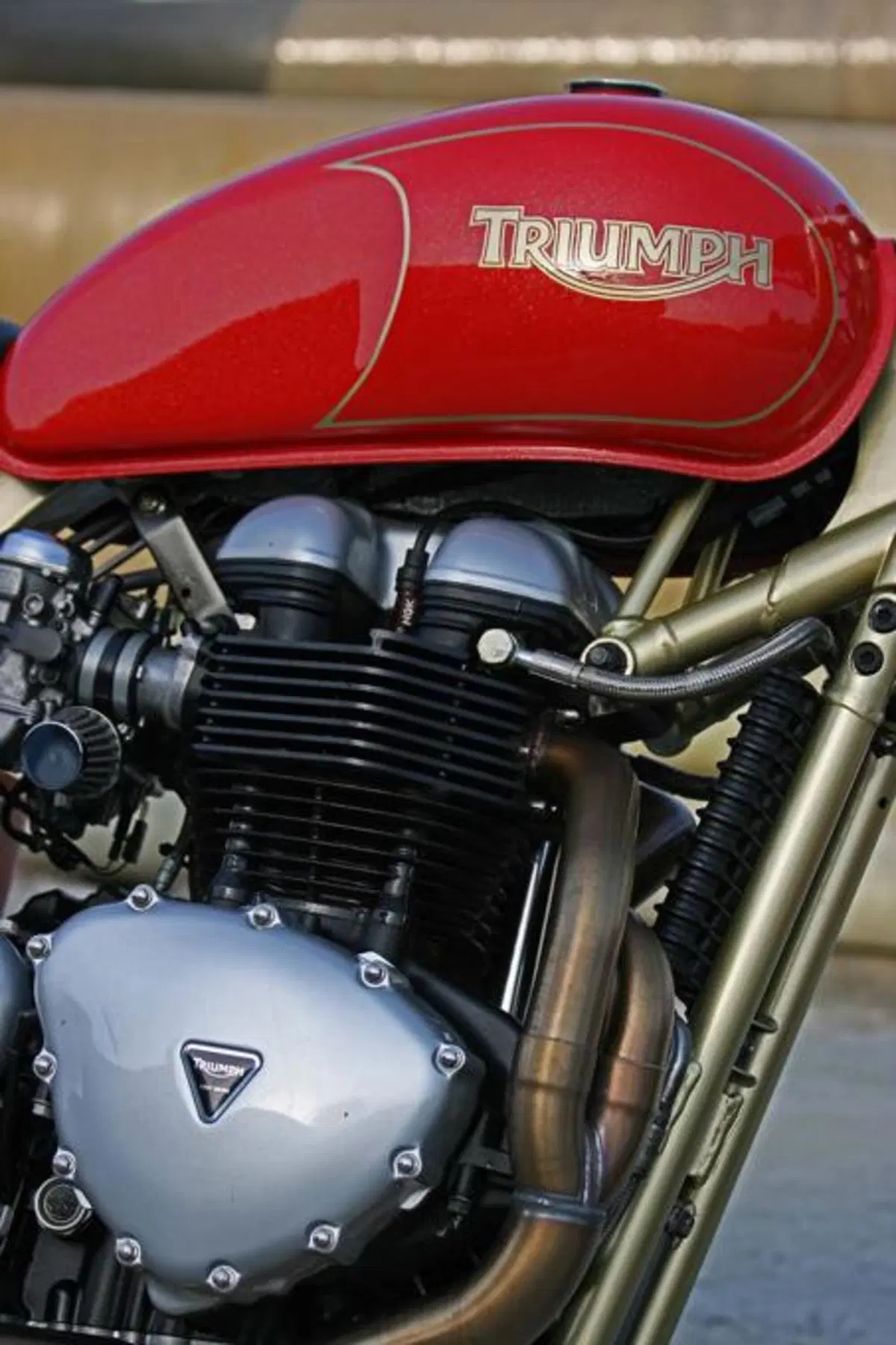 Special: Triumph Thruxton Aurora II (3)