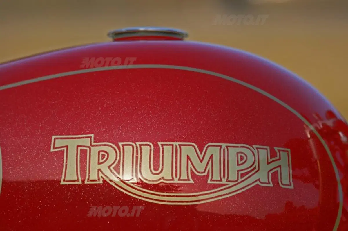Special: Triumph Thruxton Aurora II (5)