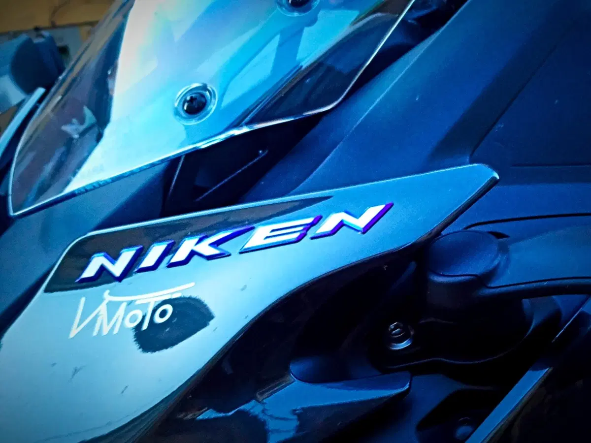 Una prova particolare: Airbus-Niken  (11)