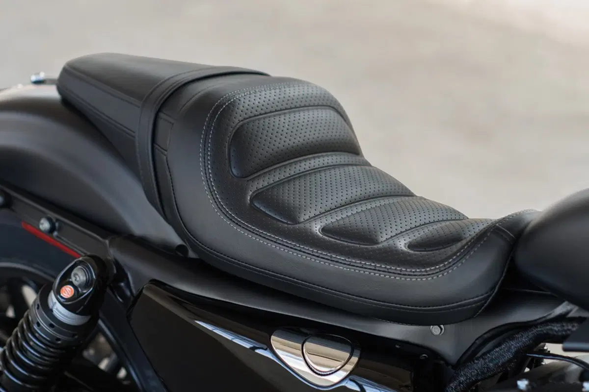 Nuova Harley-Davidson Roadster (4)