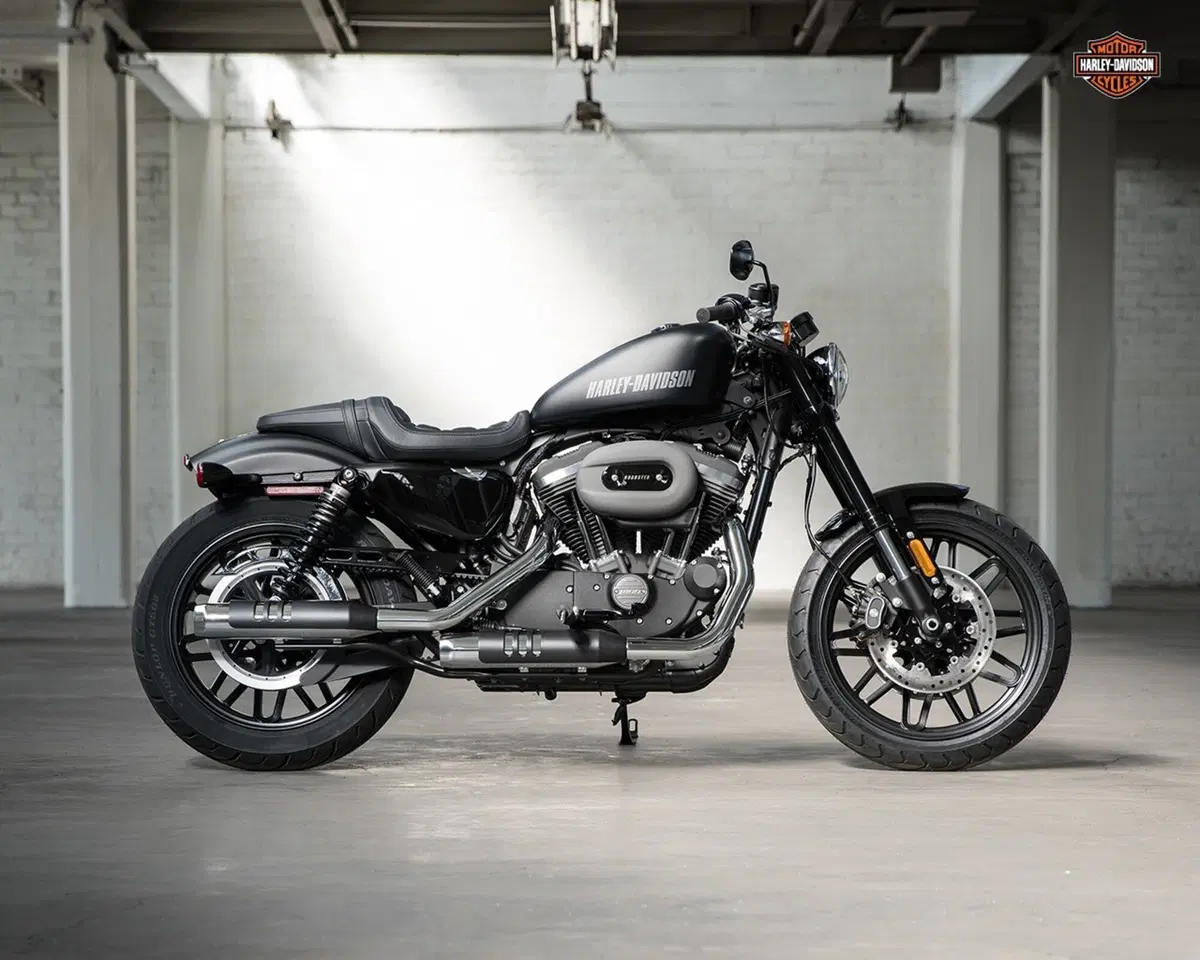 Nuova Harley-Davidson Roadster (2)