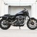 Nuova Harley-Davidson Roadster