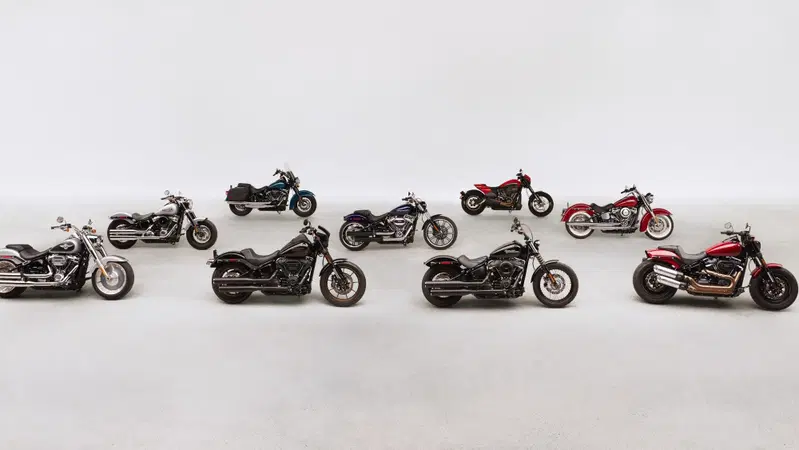 Novit&agrave; 2020 Harley-Davidson/2: Low Rider S, Softail, Road Glide e Tri Glide